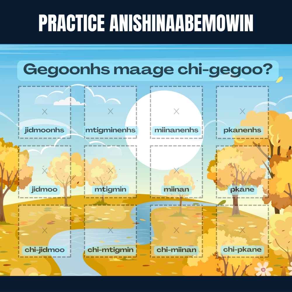 Jidmoo Toddler Busy Book - Anishinaabemowin Learning Tool (digital download)